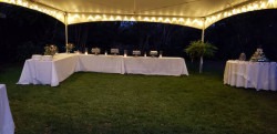 Globe String Lights for 20'X20' Tent