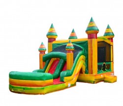 Fiesta Dual Lane Slide Combo DRY or WET