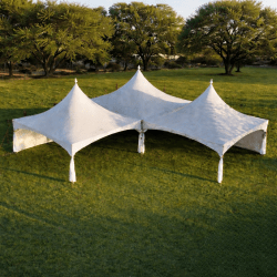 The Elegant 80 The Elegant 80